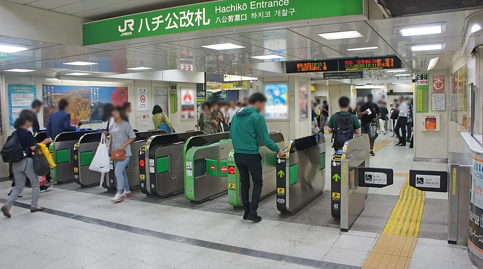 시부야역 하치코 개찰구 사진